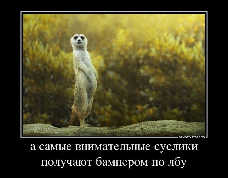источник Яндекс-картинки