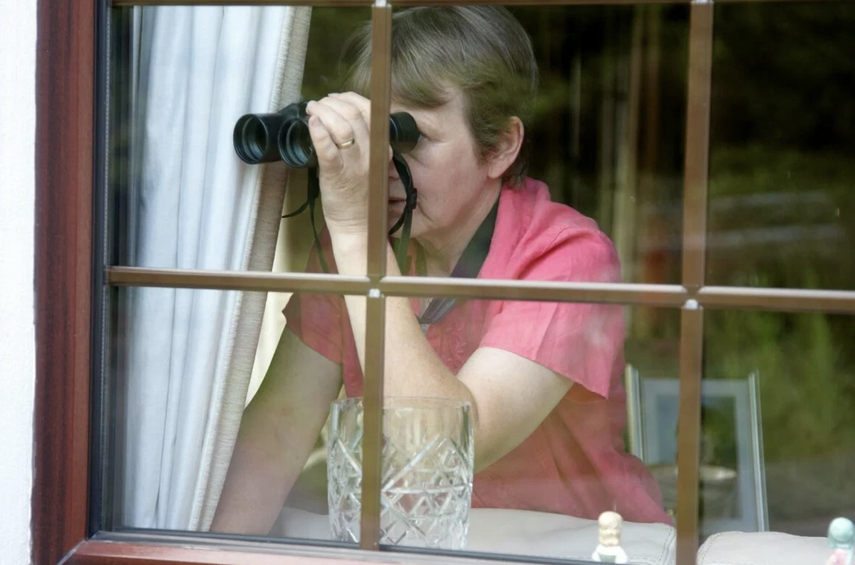 Неожиданно для себя узнал, что немцы любят подглядывать в окна за соседями