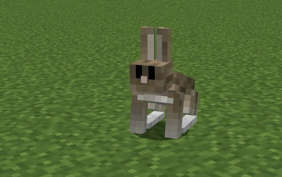 Фото  из открытых источников