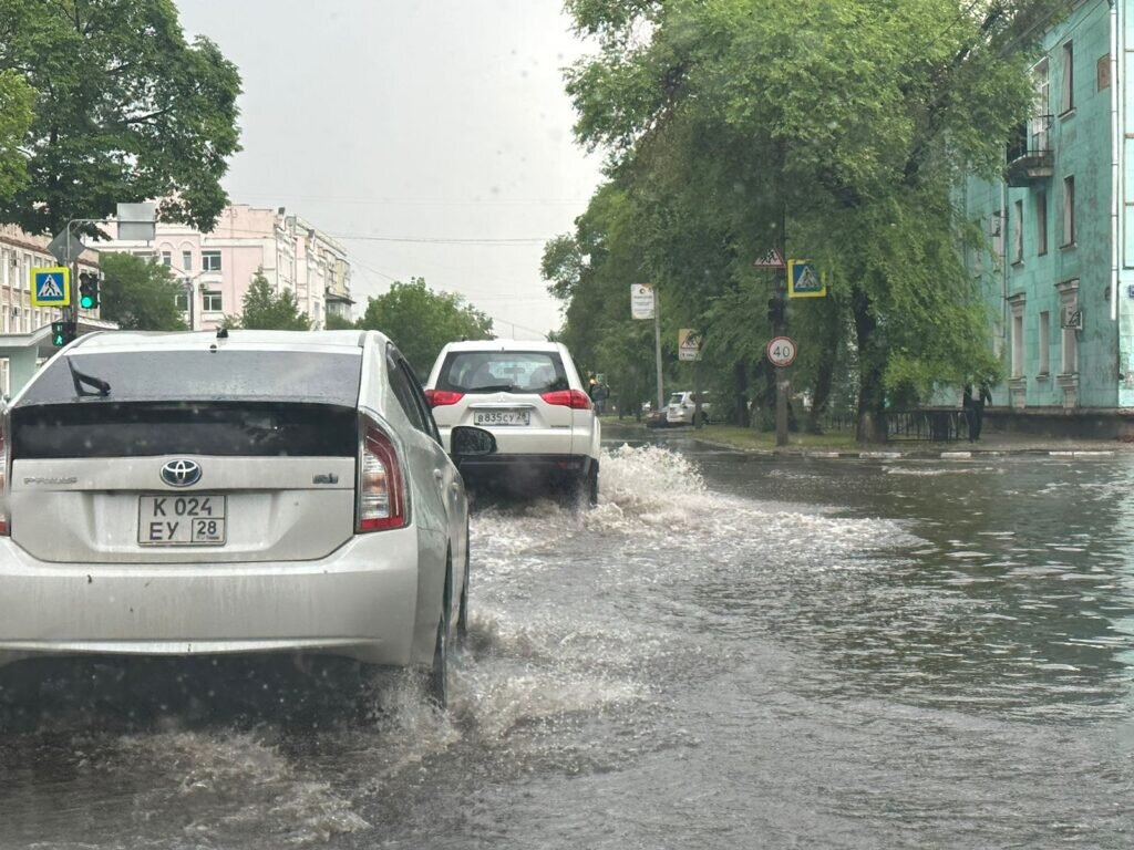    Фото: Амур.инфо