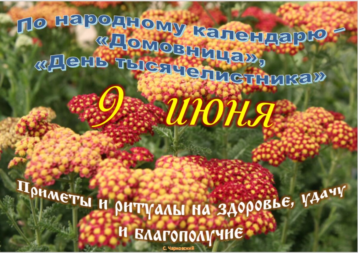 Встречаем новый день