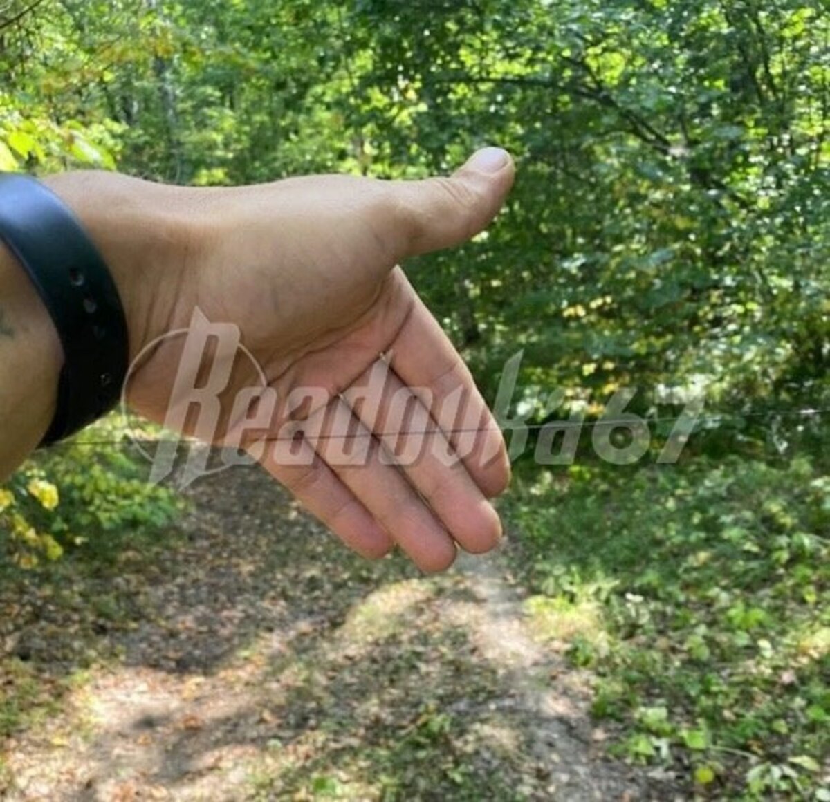 Лом попал в голову водителю автобуса