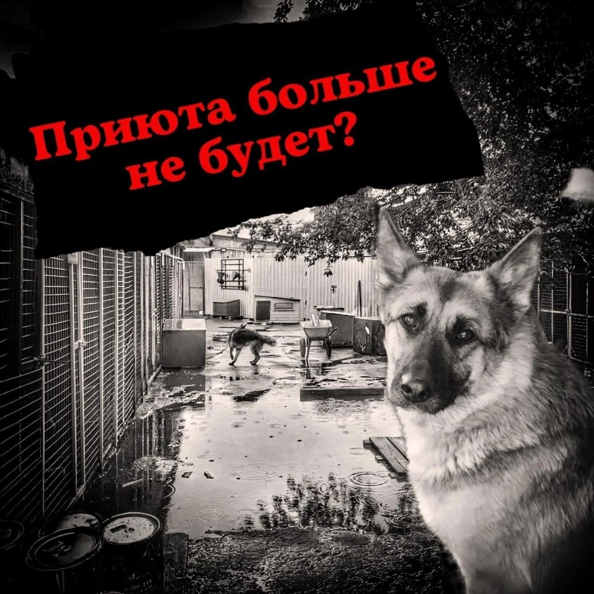 16 ЧАСОВ НА СБОР...