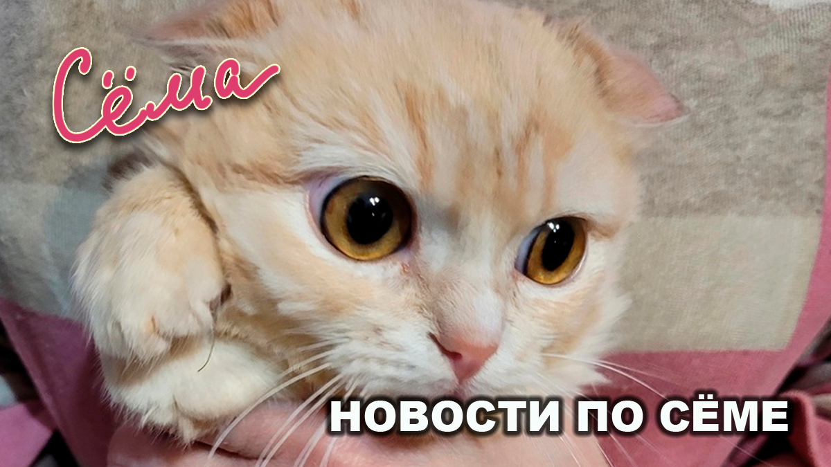 Все фото в тексте - автора