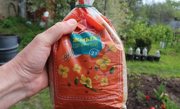 Раскидайте на грядке с морковью такой порошок - увидите какой крупной и ровной она вырастет.