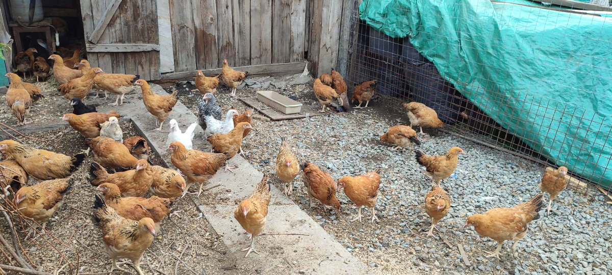 Мои девчата😊