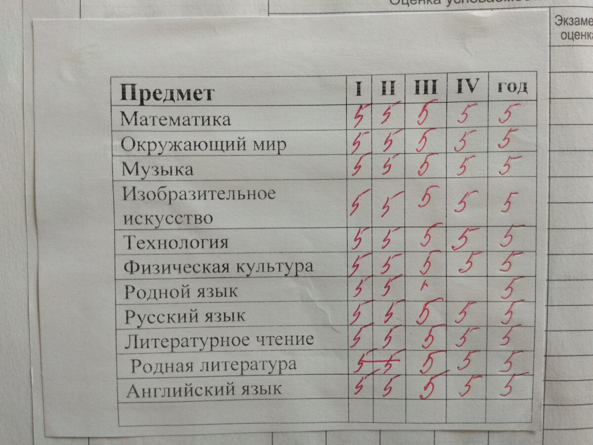 Дневник младшего ёжика.