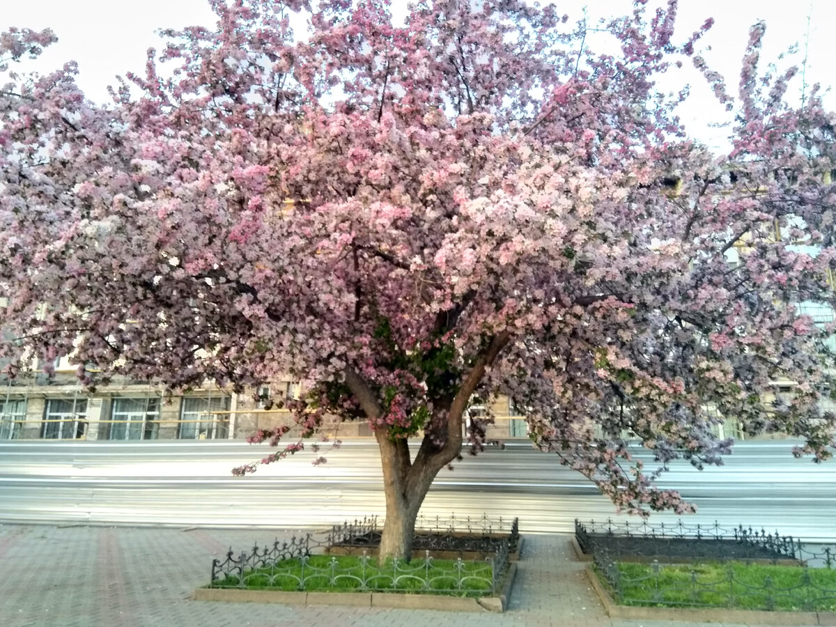 Фото автора. Просто красиво!