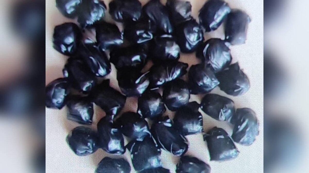     В Абакане задержали 18-летнюю девушку, мечтавшую путешествовать по России. Чтобы осуществить свою мечту, она устроилась работать наркокурьером.