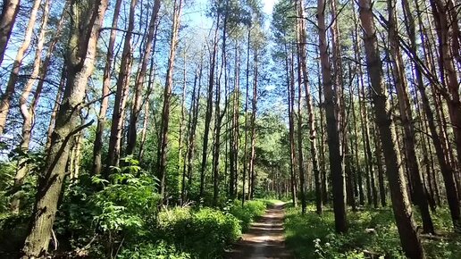 Секс знакомства в Pavlovskiy Posad MO с фото - tcvokzalniy.ru