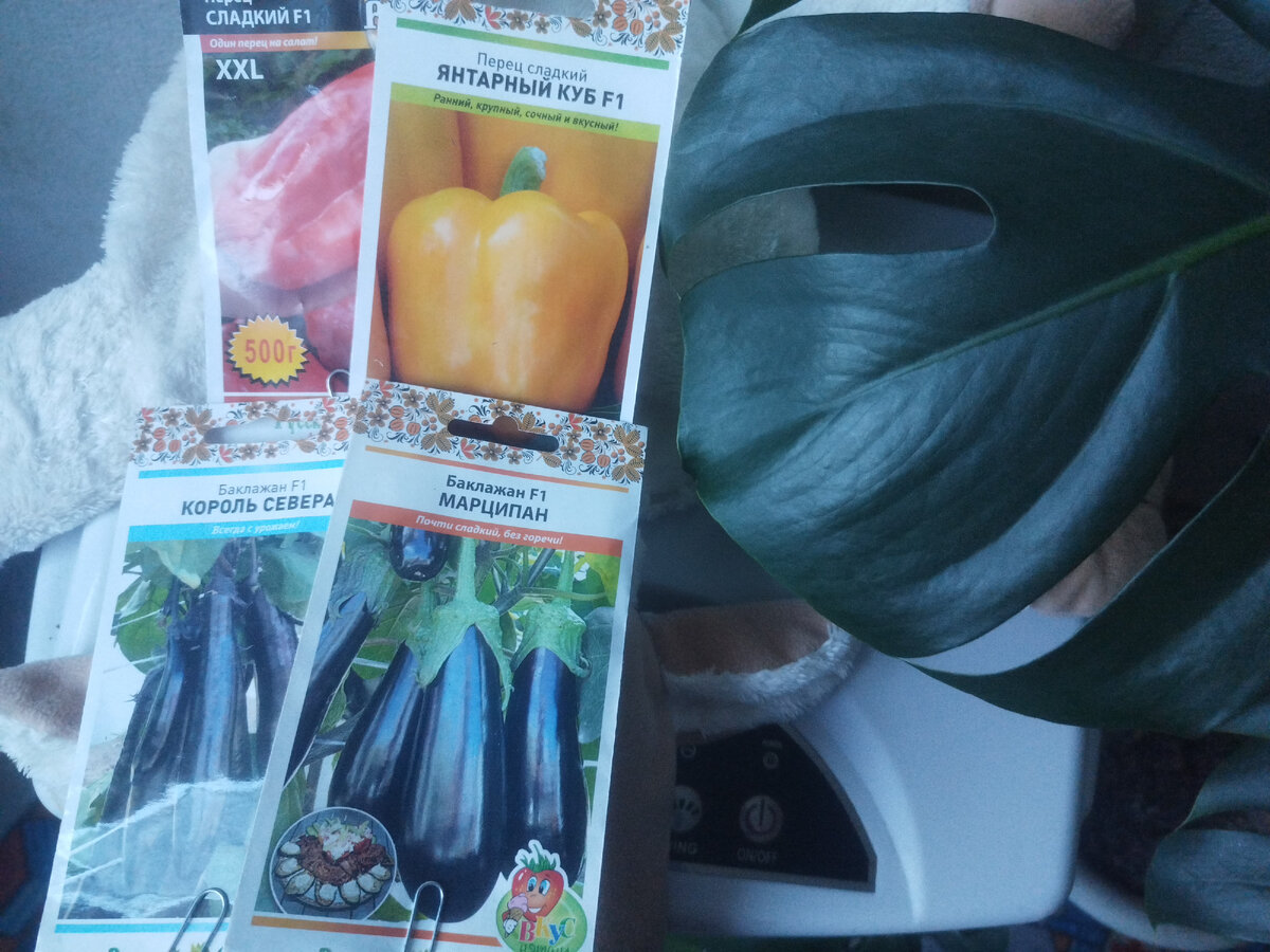 Начнем с этой четверки!