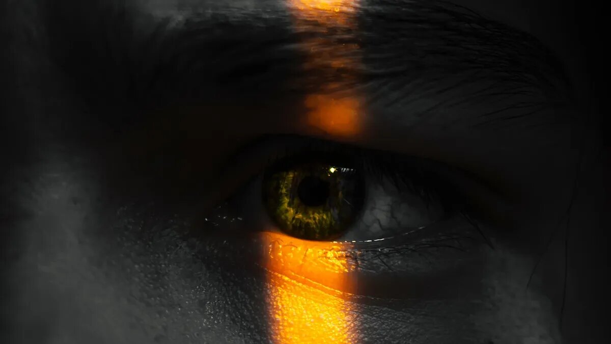 Фото: Pexels.com