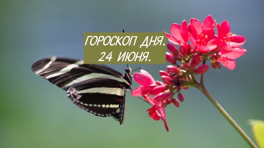 гороскоп. 24 июня.