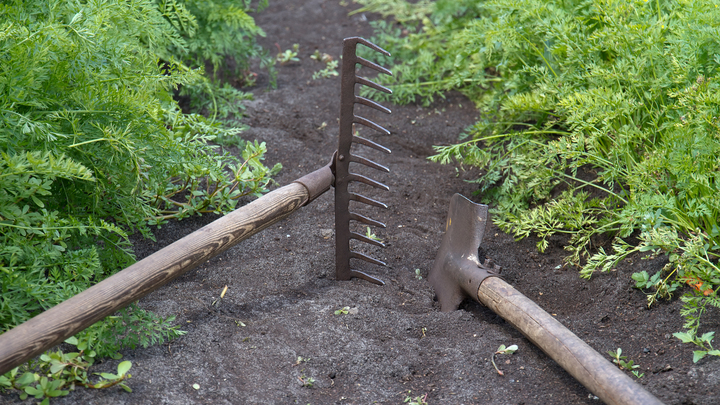 фото ILYA GALAKHOV/GLOBALLOOKPRESS