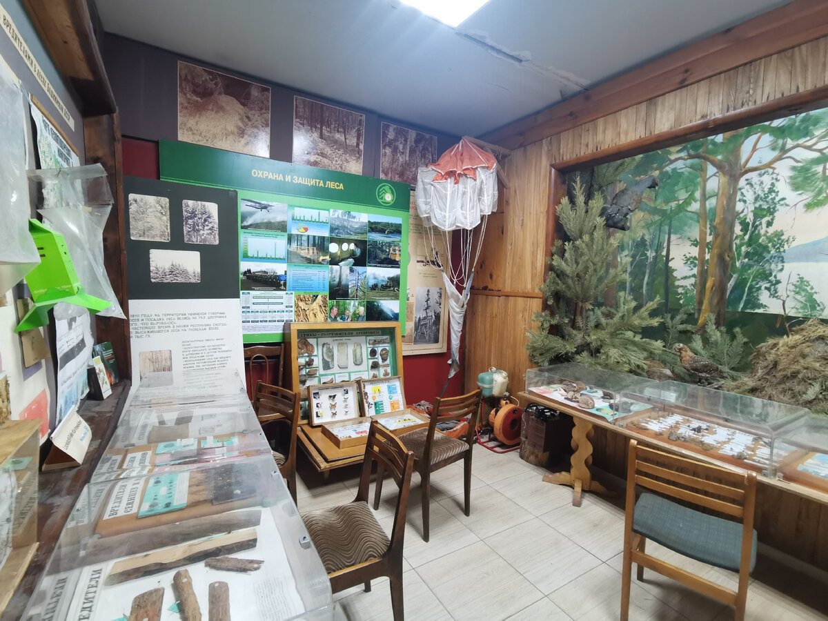 Фото автора канала 