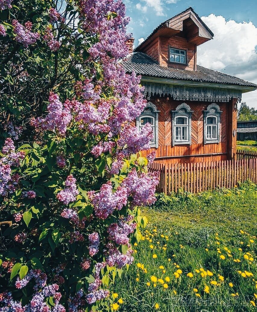 Мамин домик