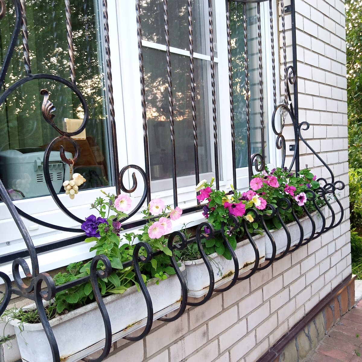 Окно моего дома с петуниями. 