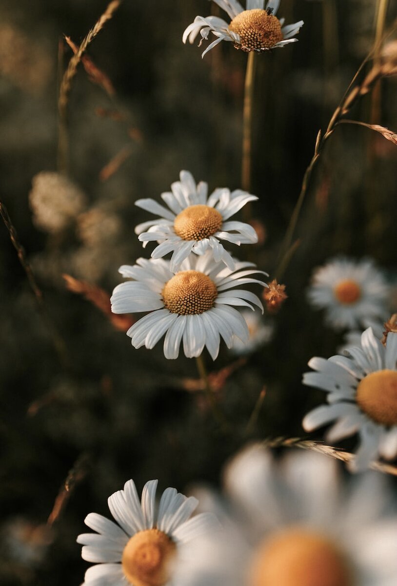 Фото из открытых источников.