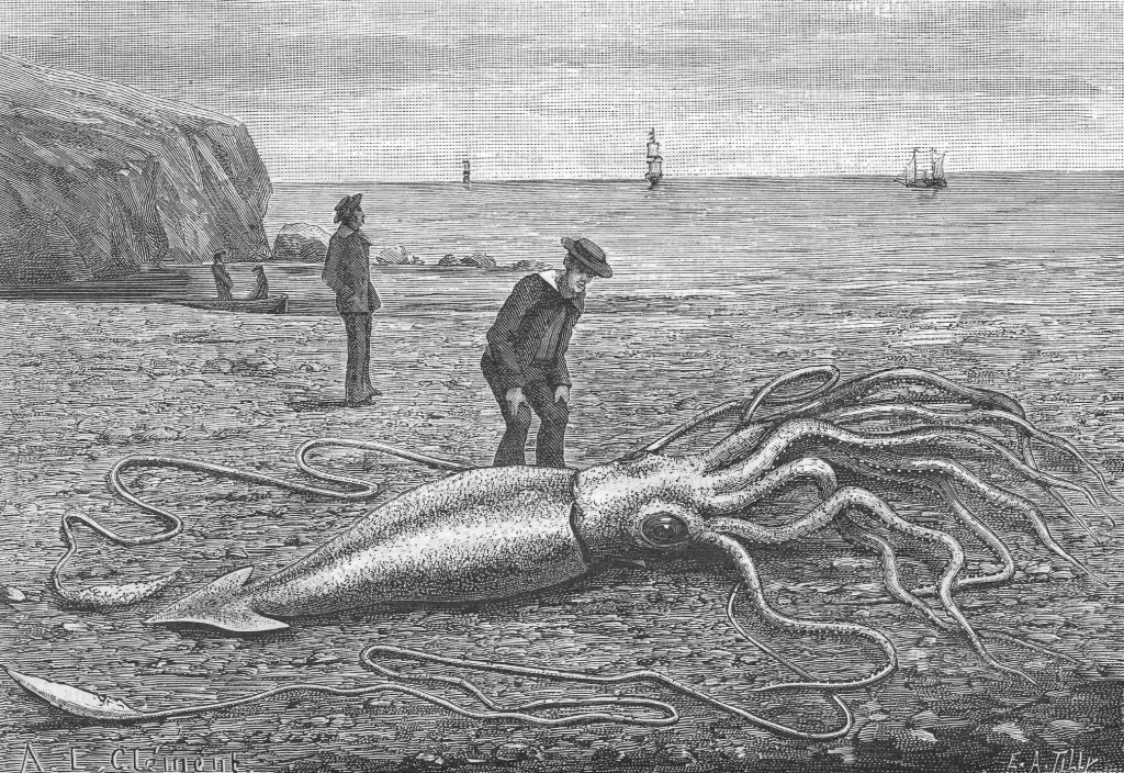 Источник: https://en.wikipedia.org/wiki/File:Giant_squid_-_La_Nature,_9_June_1883.jpg