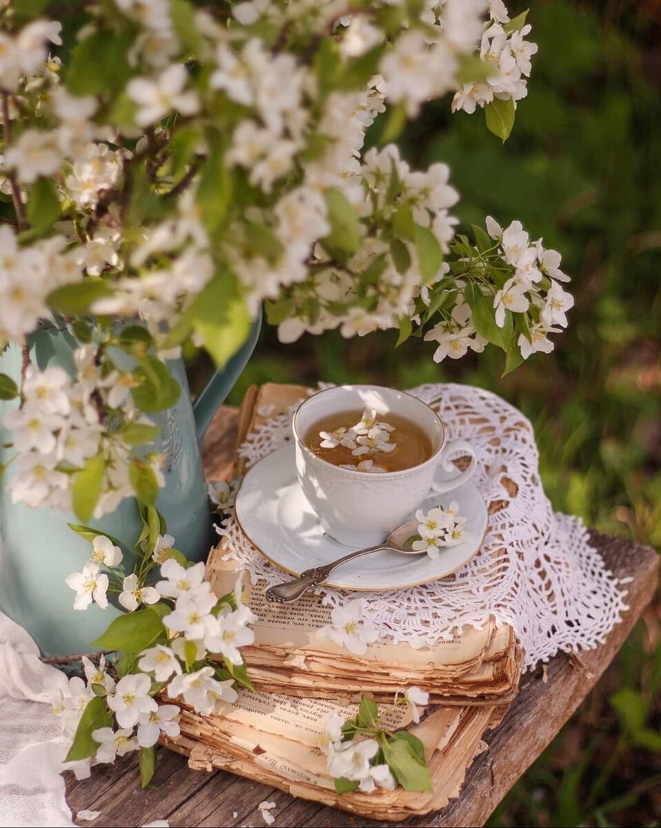 Яндекс. Открытый источник 