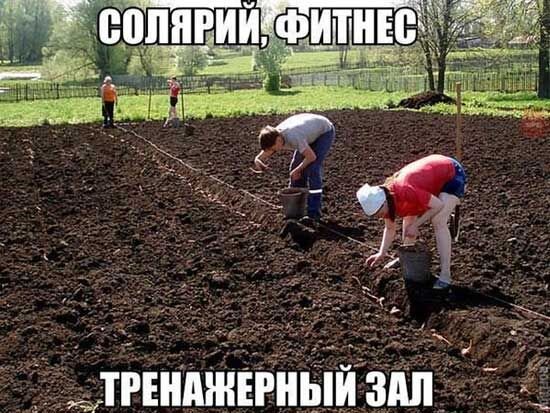 Изображение Pinterest