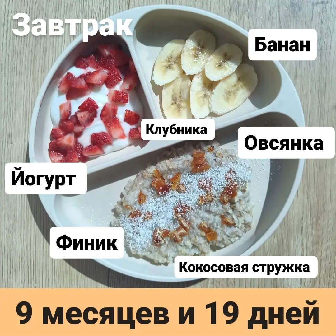 Пример тарелки в 9 месяцев 