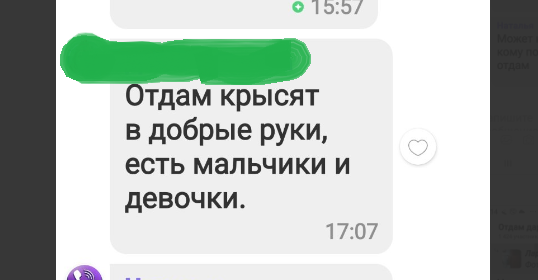 скриншот объявления в чате