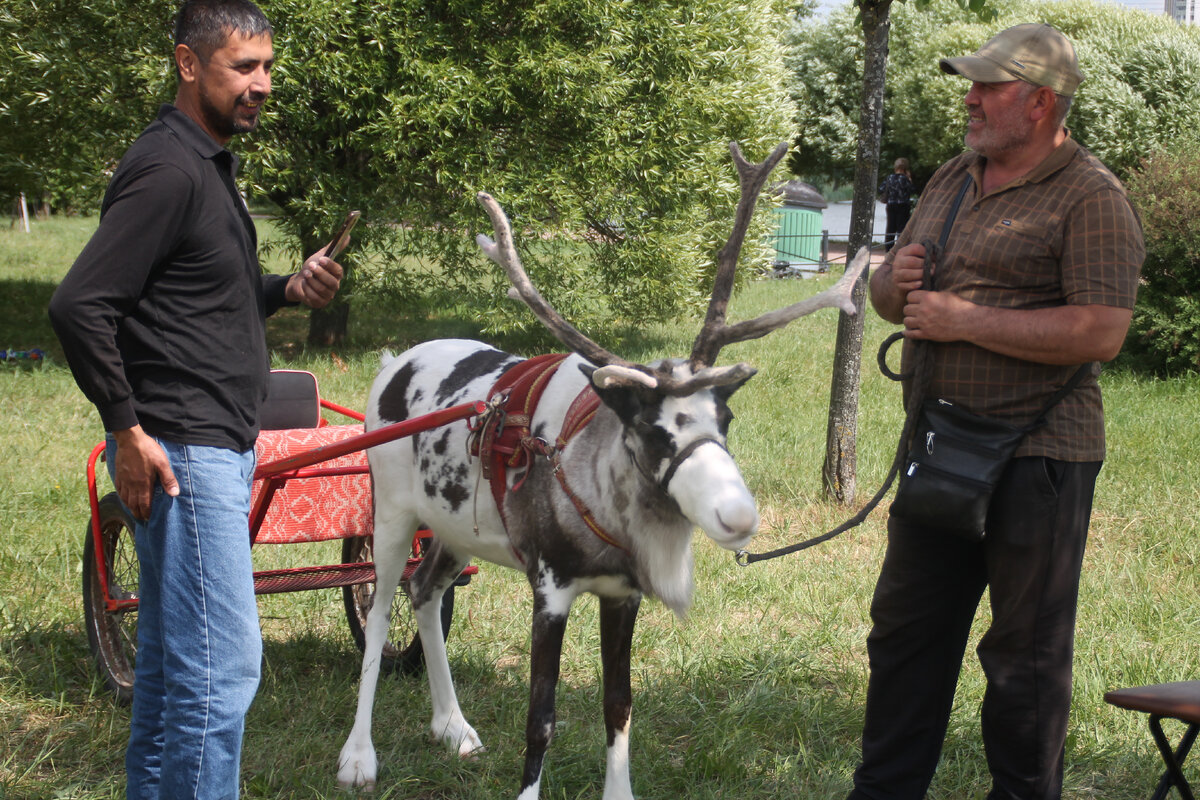 Джаз фестиваль в Купчино Питера (фото автора). 