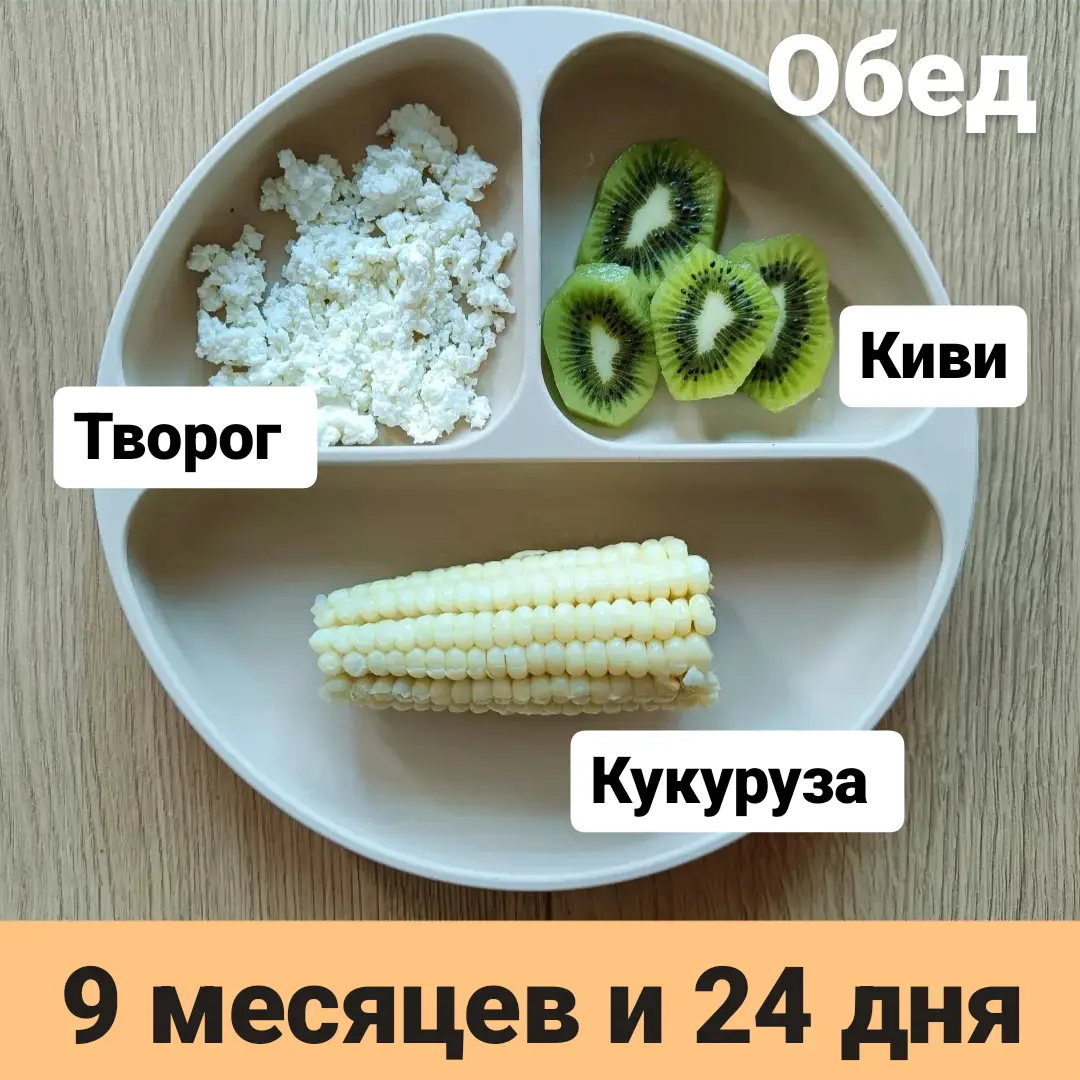 Пример тарелки в 9 месяцев 