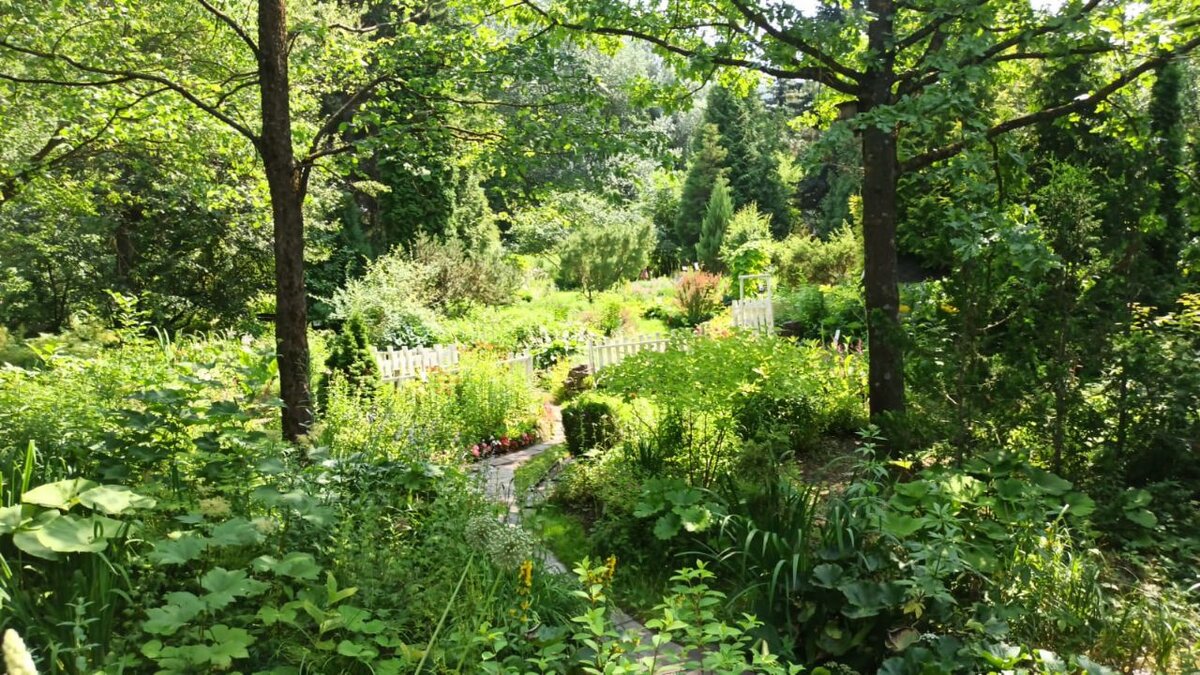 Как в Лориэне