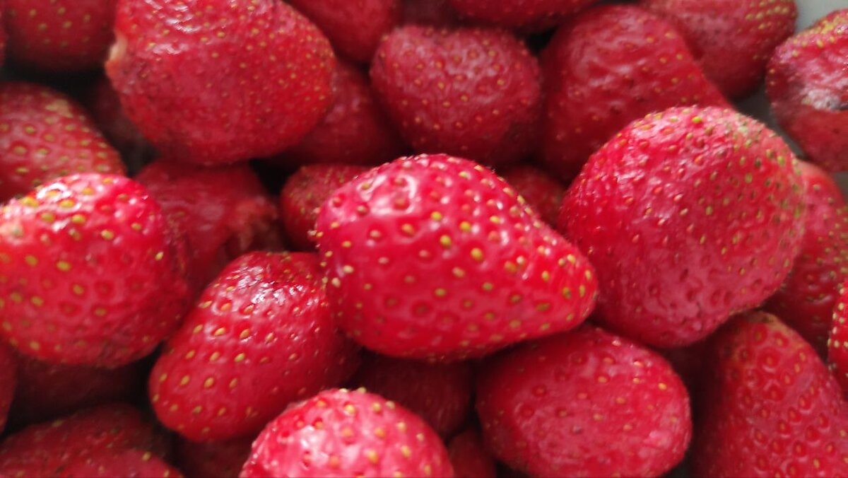 как заготовить клубнику без сахара на зиму