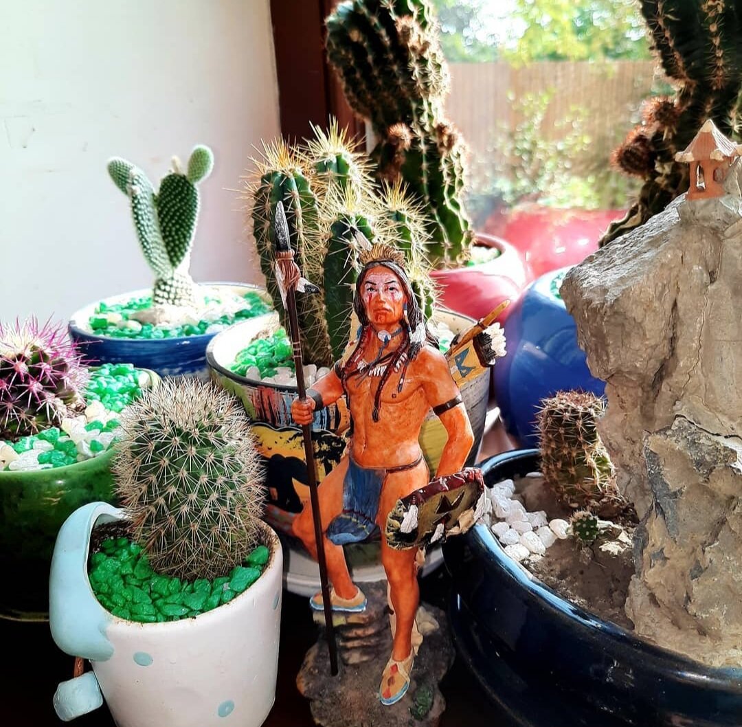 Хранитель кактусов.