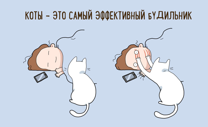 Кот разбудил меня. Не буди кота. Весёлая картинка для поднятия настроения сплю. Не буди кота. Статусы про спящего кота.