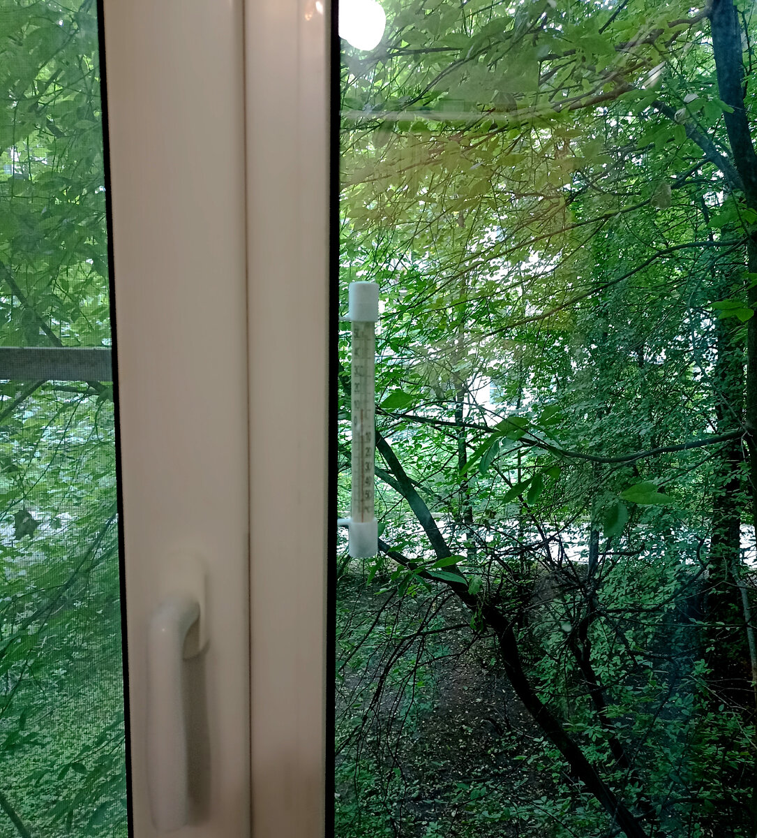 Плохо видно, но лучше не получилось. (((