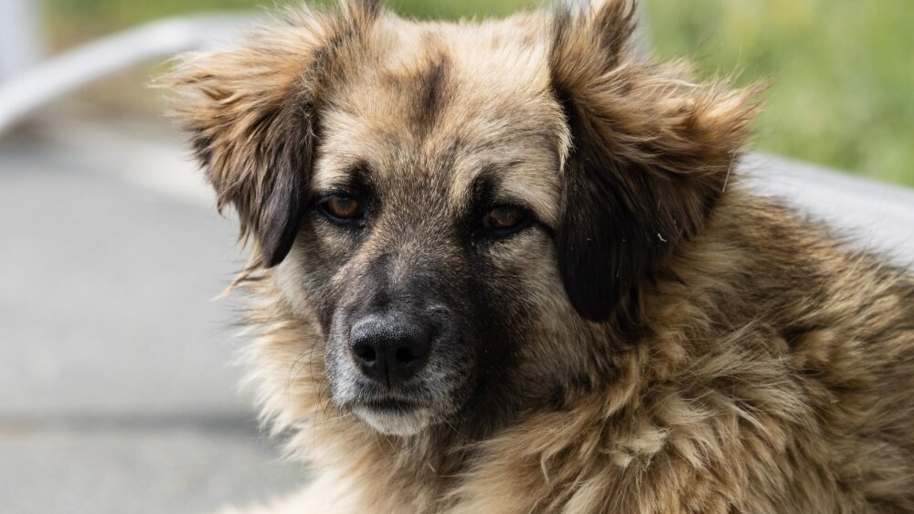    Фото: Shutterstock