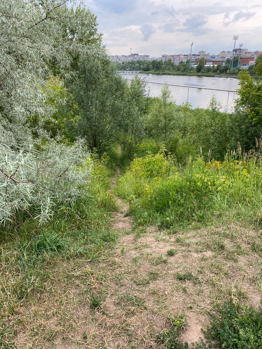 Мещерское озеро в Нижнем Новгороде — чудесное место отдыха | между прошлым  и будущим | Дзен