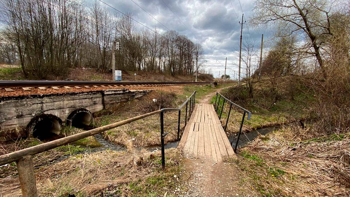 Командировка в Санкт-Петербург и Архангельск | ПРО проектирование | Дзен