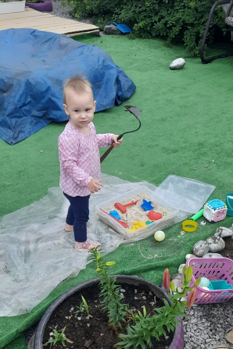 Алиса забрала у меня тяпку.🙂 А в клумбе скоро Лилии распустятся.