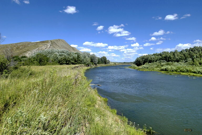    «По пути с добром». Оренбуржцы могут отправиться в волонтерскую экспедицию Кристина Просвиркина