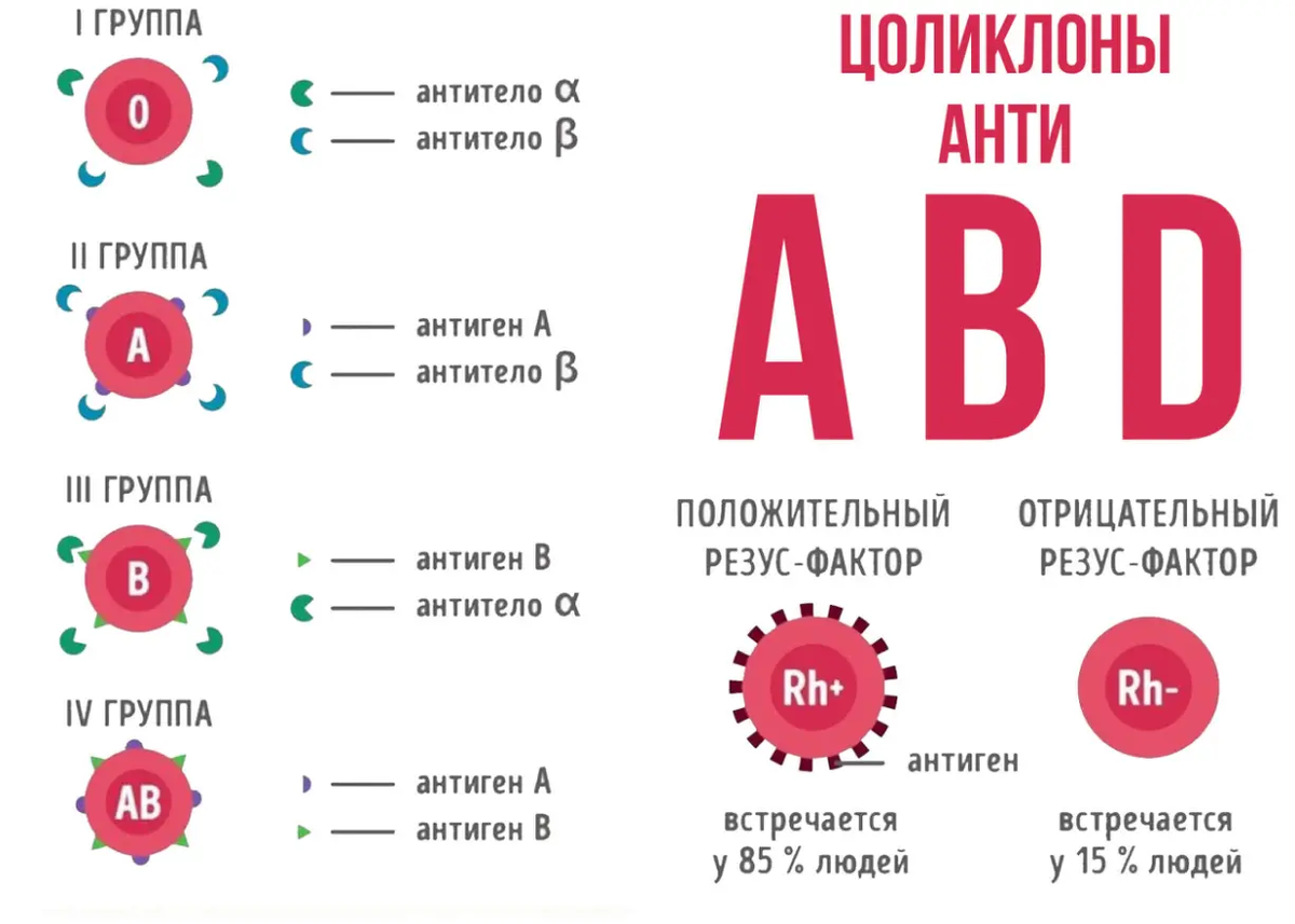 1 группа крови антитела. Как узнать группу крови. Как понять группу крови. Группа крови Цоликлоны.