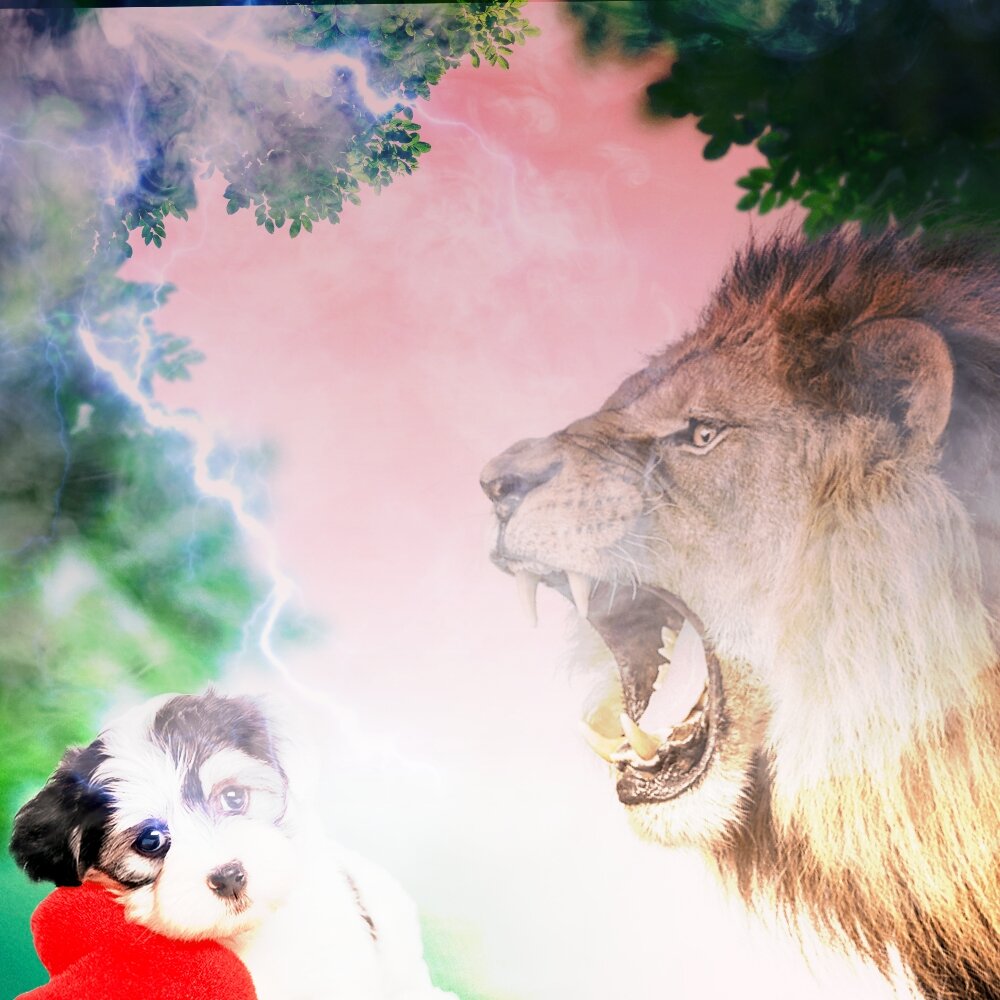 Тесть в гневе на зятя. Фоторедактор