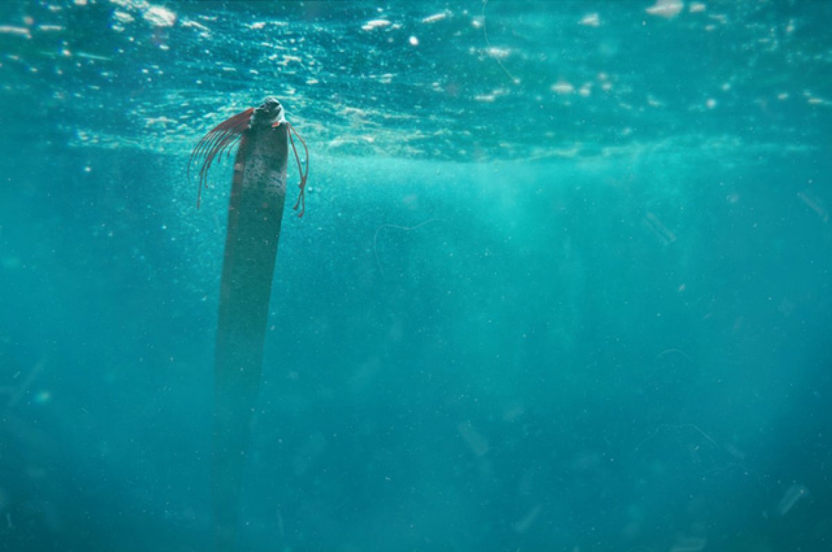    Дурной знак океана.