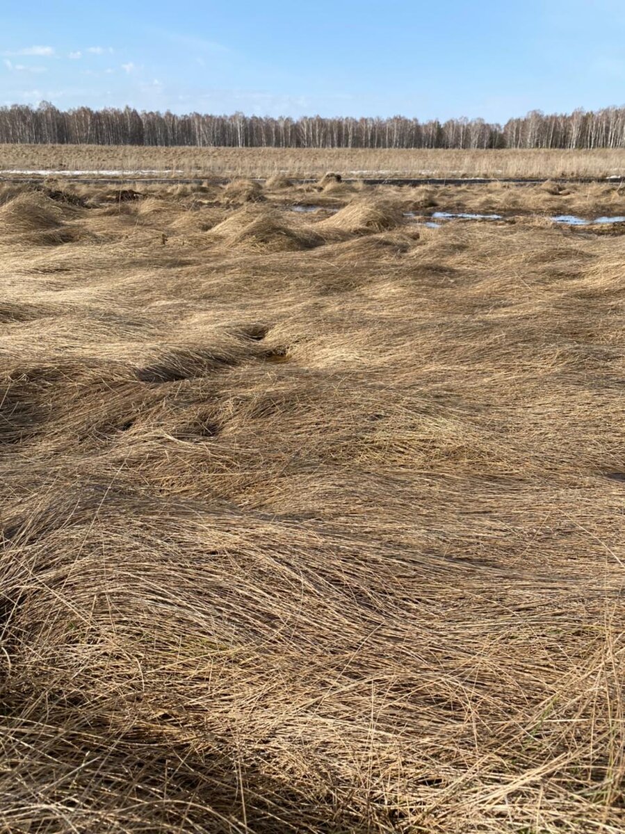 Вот здесь под травой ледяная вода