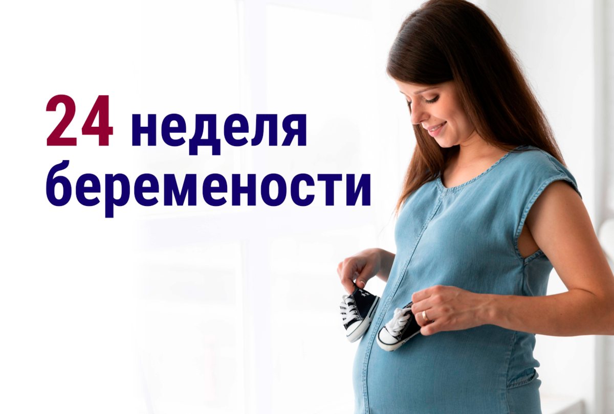 ✔️ 24 неделя беремености ⚡ | 👶🏻KROHIPRO👶 - Беременность, питание, подготовка к родам, воспитание детей - Всё о детях и их родителях🤱🏻 | Дзен