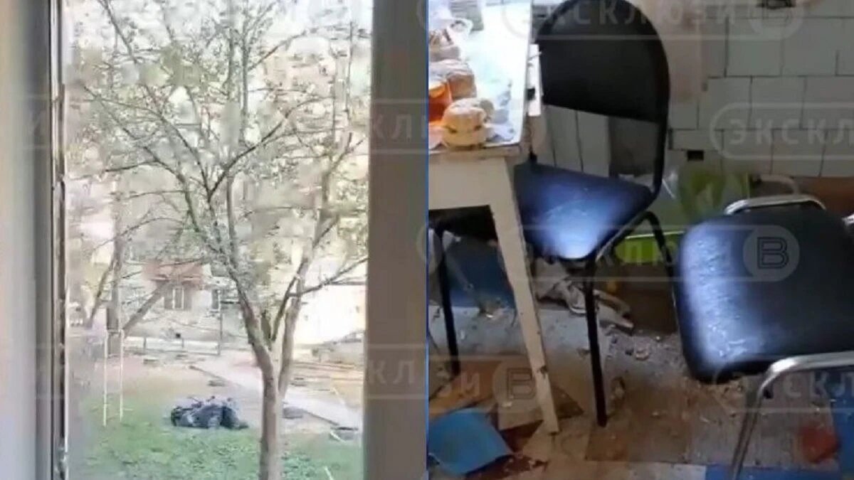 Фото: стоп-кадр из видео («Вести Новосибирск)