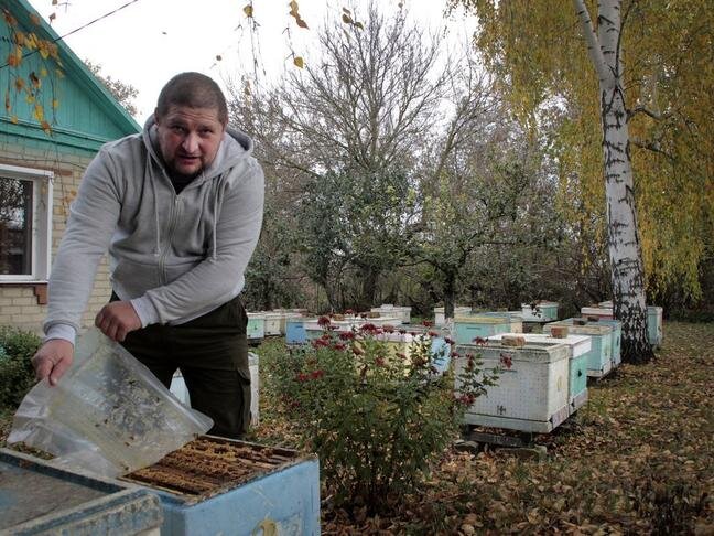  На участке Сергея ульи и 10 бортей / Фото: Ирина Дудка