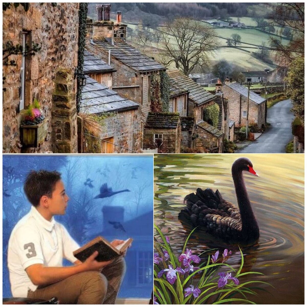 Фотоколлаж автора