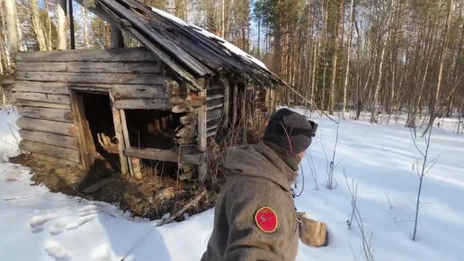 Как выбрать двери: советы и видео