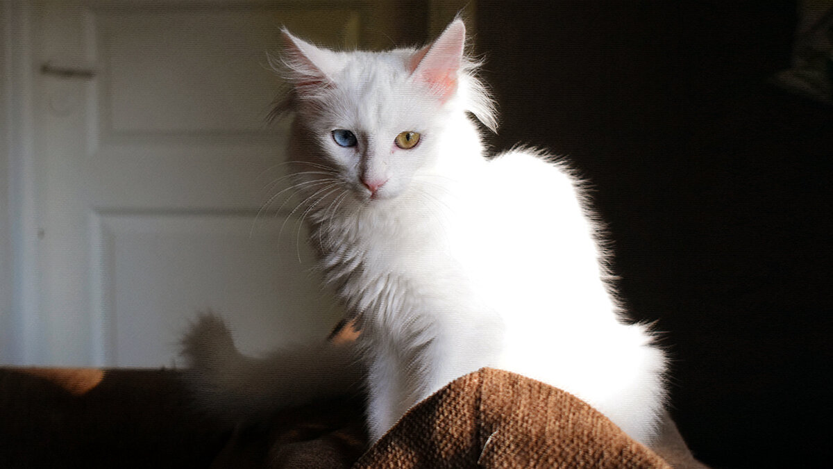 источник фото: krasivosti.pro