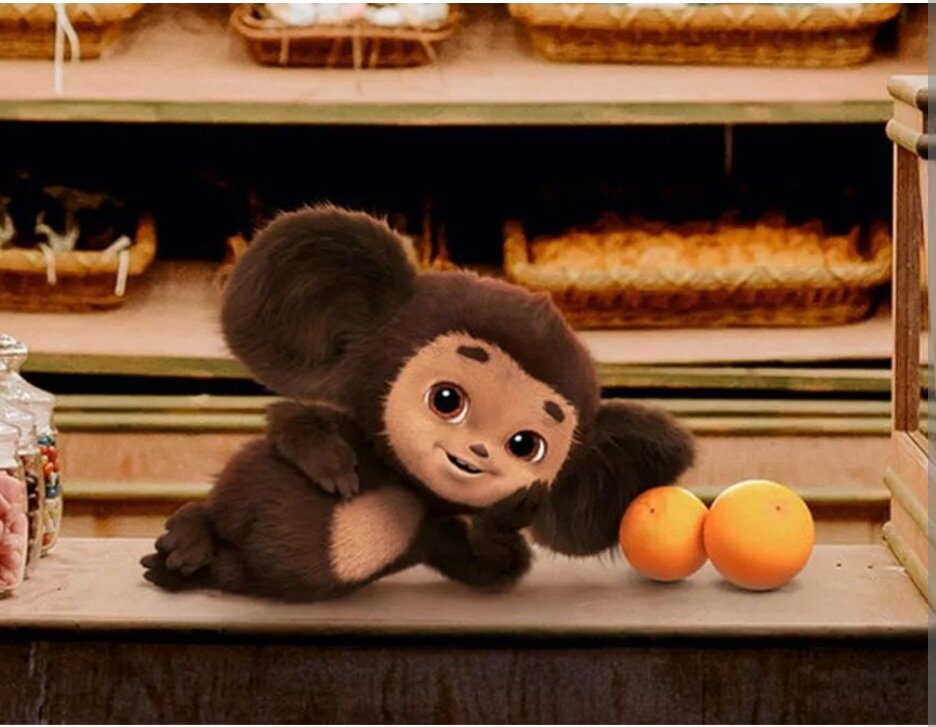 Фото взято из открытых источников.